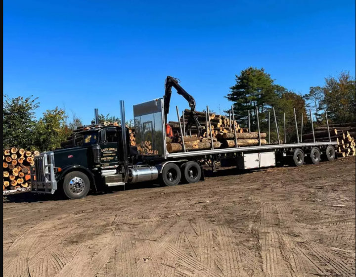 Vente de bois en gros, Saint-Georges