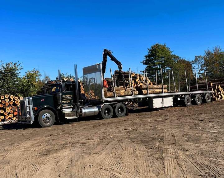 Wood delivery suppliers Dixville