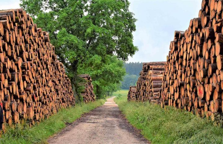 Fourniture de bois de chauffage Estrie